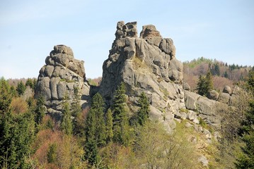 Landscape mountains tree
