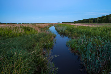 Evening landscape of a small river among a green meadow with dark water