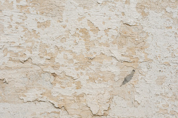 Wall fragment with scratches and cracks