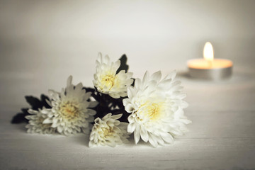 Candle and white flowers © izzzy71