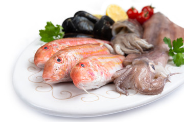 Pesci, crostacei e molluschi freschi