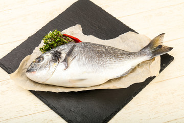 raw dorada fish