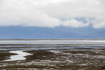 Low water level landscape at Lake Kerkini, Greece with low clouds and a mountain range in the background