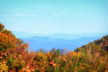 Fall in the Great Smokey Mountains