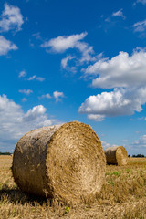 ein Feld mit Strohballen, bei blauem Himmel