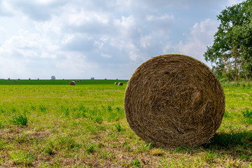 ein Feld mit Strohballen, bei blauem Himmel
