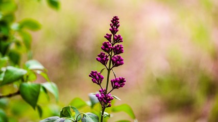 Photos of the great outdoors 