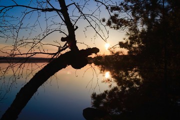 Photos of the great outdoors 