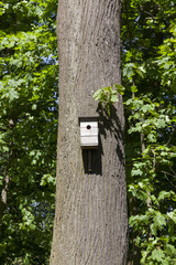 wooden birdhouse