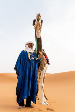 Portrait of a berber and his camel in the Sahara desert