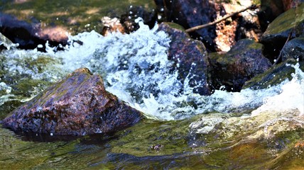 Photos taken in the great outdoors