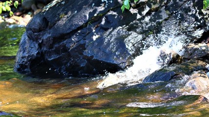 Photos taken in the great outdoors