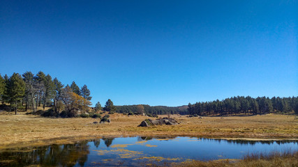 Laguna Mountain trail
