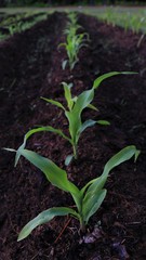 Photos taken in the great outdoors