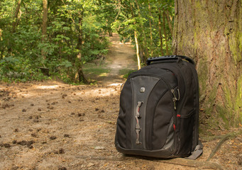 Black backpack leaning against tree on hiking trail. backpack on path