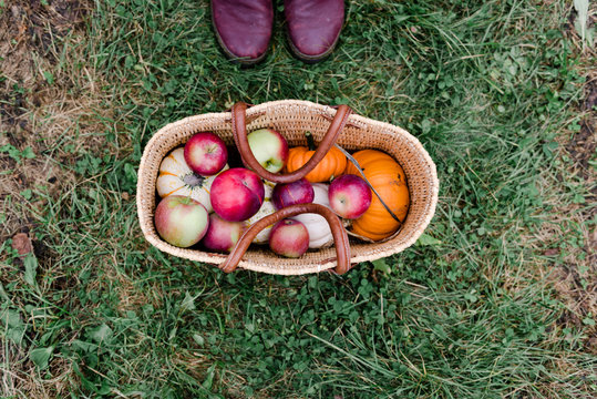 View of basket with apples and pumpkins