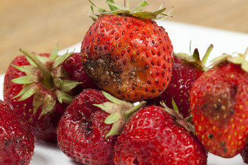 red overripe strawberry