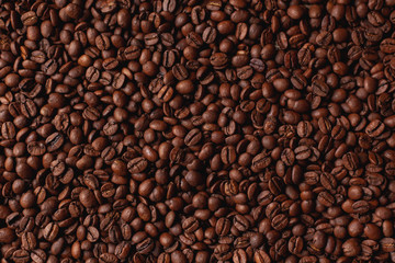 Fototapeta premium A lot of coffee beans after roasting