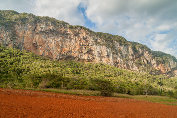 Mogotes (limestone hills) and fields in Guasasa valley near Vinales, Cuba