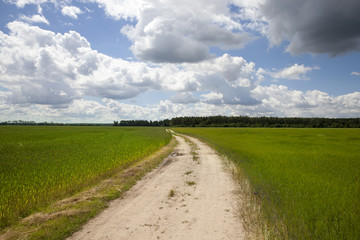 road across field
