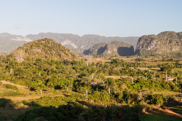 Morning view of Vinales valley with mogotes (limestone hills), Cuba
