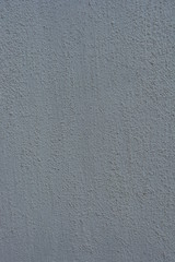 Building bark beetle of white color with gray illumination with irregularities and convexities