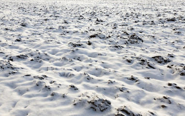 plowing the soil