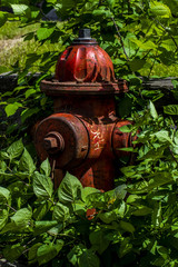 Fire Hydrant