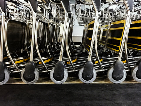 Luggage trolley carts at the airport