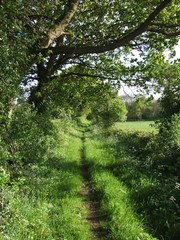 A Worcestershire bridleway