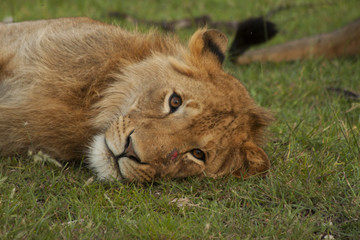 Long Day