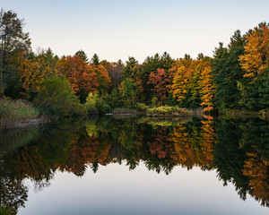 colorful autumn trees reflected in pond