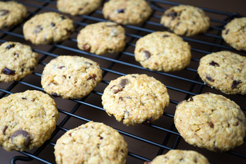 Homemade healthy cranberry mixed with nuts oat cookie