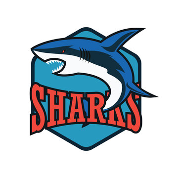 blue sharks logo with text space for your slogan / tag line, vector illustration