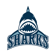 Fototapeta premium blue sharks logo with text space for your slogan / tag line, vector illustration