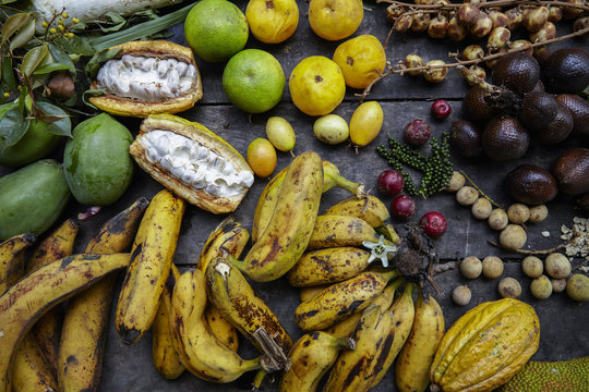 Tropical treasure / Ecuador