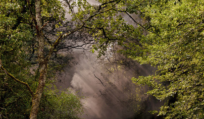 old train locomotive with steam