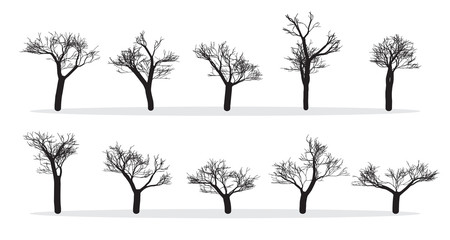 Naked Trees Silhouettes Set. Hand Drawn Isolated. Autumn. Spring. Fall. Vector