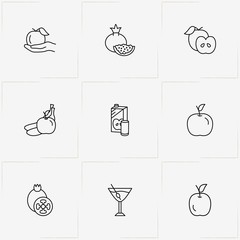 Juice line icon set with cocktail glass, apple and apple juice