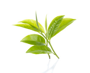 Green tea leaf isolated on white background