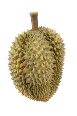 fresh durian fruit on white bakground