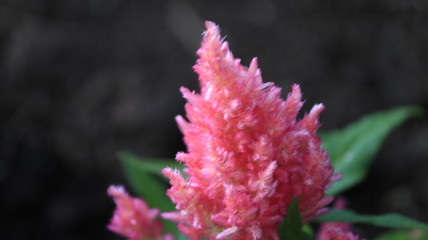 Pictures taken in the great outdoors 