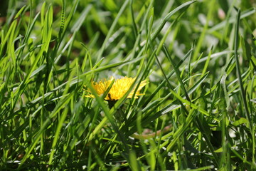 Pictures taken in the great outdoors 