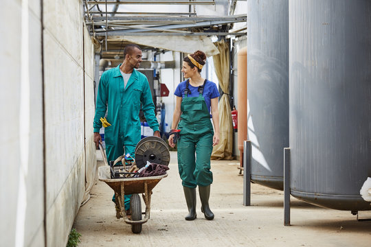 Coworkers Talking While Walking At Greenhouse