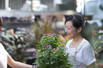 Female Asian florist working in the shop