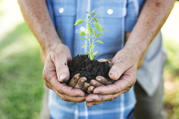 Family planting a new tree for the future
