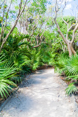 Trail through the ruins of the ancient Maya city Tulum, Mexico
