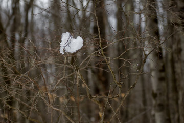 winter