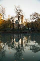 Swan pond in autumn park.