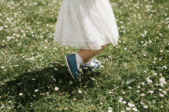 Toddlers feet walking in field of flowers